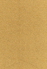 FSchumacher Fabric 62570 Kenya Texture Camel