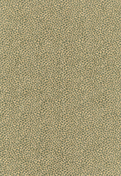 FSchumacher Fabric 62571 Kenya Texture Mineral