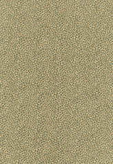 FSchumacher Fabric 62571 Kenya Texture Mineral