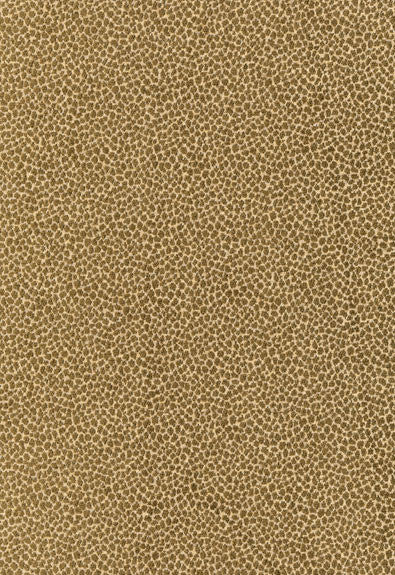 FSchumacher Fabric 62572 Kenya Texture Olive