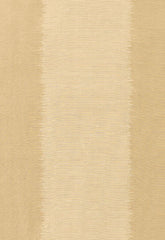 FSchumacher Fabric 62650 Bagan Biscuit