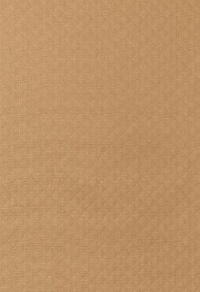 FSchumacher Fabric 62712 Bryce Diamond CAFE'