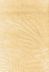 FSchumacher Fabric 62730 Venetian Silk Velvet Champagne