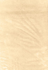 FSchumacher Fabric 62731 Venetian Silk Velvet Doeskin