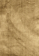 FSchumacher Fabric 62732 Venetian Silk Velvet Praline