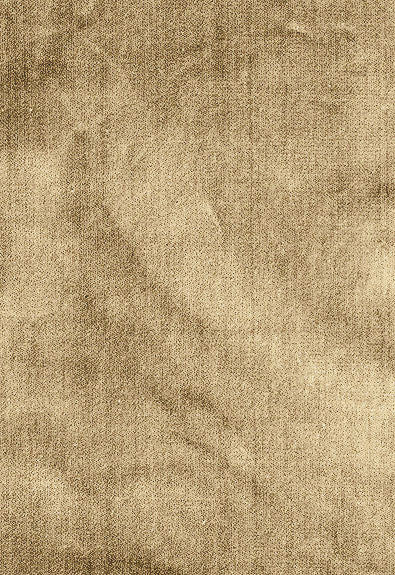 FSchumacher Fabric 62733 Venetian Silk Velvet Chanterelle