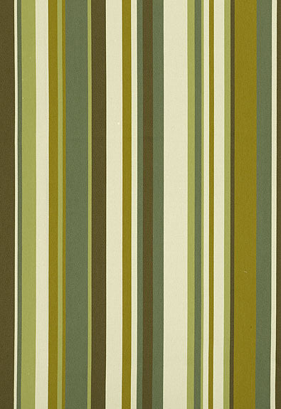FSchumacher Fabric 62894 Delray Stripe Avocado