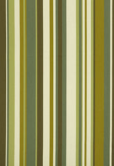 FSchumacher Fabric 62894 Delray Stripe Avocado