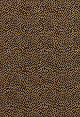 FSchumacher Fabric 62922 Madagascar Chenille Java