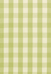 FSchumacher Fabric 63036 Camden Cotton Check Sage