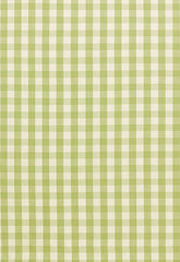 FSchumacher Fabric 63056 Elton Cotton Check Sage