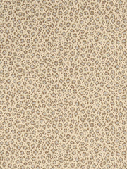 Stroheim Wallpaper 6333601 Tanzania Aqua