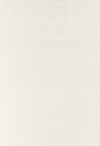 FSchumacher Fabric 63781 Bellini Silk Blanc