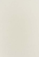 FSchumacher Fabric 63812 Botticelli Silk Taffeta Bone