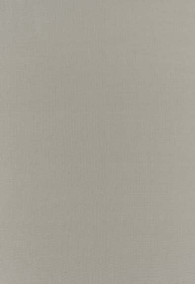 FSchumacher Fabric 63818 Botticelli Silk Taffeta Fog