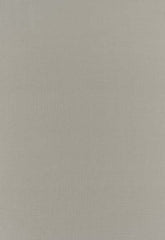 FSchumacher Fabric 63818 Botticelli Silk Taffeta Fog