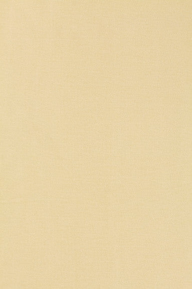 FSchumacher Fabric 63841 Tiepolo Shantung Weave Bone