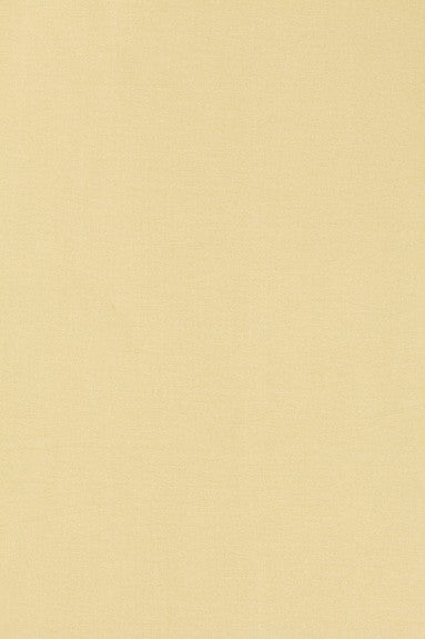 FSchumacher Fabric 63842 Tiepolo Shantung Weave Ivory