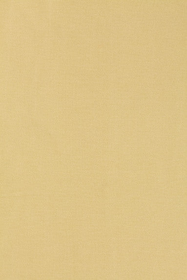 FSchumacher Fabric 63843 Tiepolo Shantung Weave Champagne