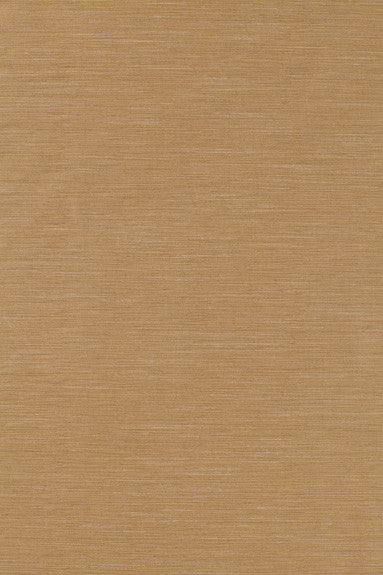 FSchumacher Fabric 63885 Pozzo Weave Camel