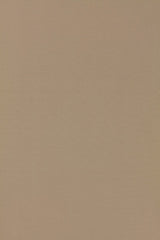 FSchumacher Fabric 63901 Masaccio Taffeta Fawn