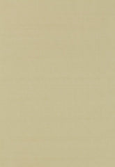 FSchumacher Fabric 63951 Giordano Taffeta Sesame
