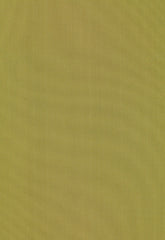FSchumacher Fabric 63959 Giordano Taffeta Olivine