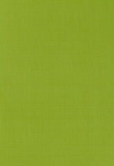 FSchumacher Fabric 63969 Giordano Taffeta Lime