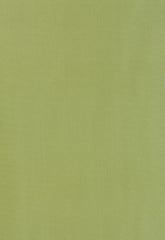 FSchumacher Fabric 63970 Giordano Taffeta Kryptonite