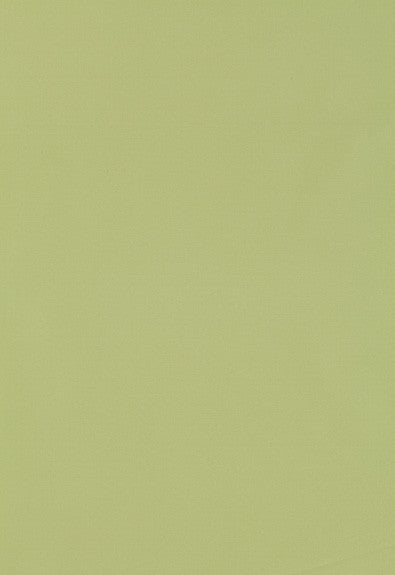 FSchumacher Fabric 63971 Giordano Taffeta Mint Julep