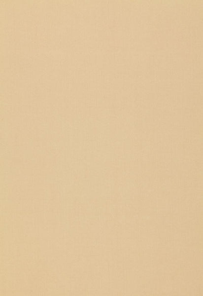 FSchumacher Fabric 64378 Isolde Cotton Weave String