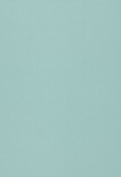 FSchumacher Fabric 64384 Isolde Cotton Weave Caribbean