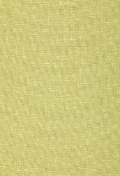 FSchumacher Fabric 64495 Gweneth Linen Fern