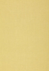 FSchumacher Fabric 64496 Gweneth Linen Limeade