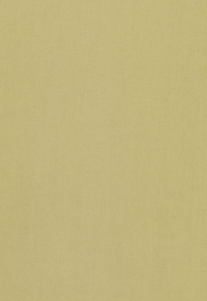 FSchumacher Fabric 64515 Tristan Cotton Weave Sage