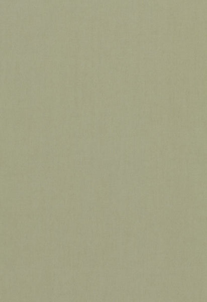 FSchumacher Fabric 64517 Tristan Cotton Weave Reseda