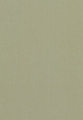 FSchumacher Fabric 64517 Tristan Cotton Weave Reseda