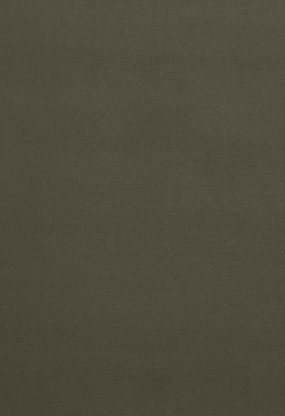 FSchumacher Fabric 64553 Gainsborough Velvet Thyme