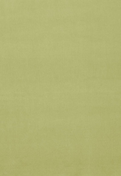 FSchumacher Fabric 64575 Gainsborough Velvet Ming