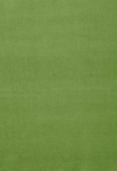 FSchumacher Fabric 64576 Gainsborough Velvet Grass