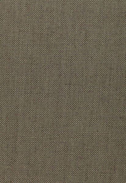 FSchumacher Fabric 64610 Sahara Weave Peat