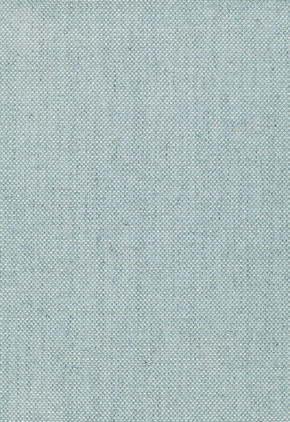 FSchumacher Fabric 64614 Sahara Weave Spa