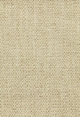 FSchumacher Fabric 64630 Prato Weave Limestone