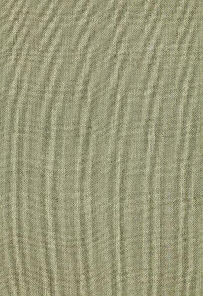 FSchumacher Fabric 64647 Beckton Weave Basil