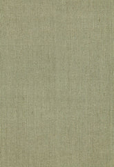 FSchumacher Fabric 64647 Beckton Weave Basil
