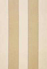 FSchumacher Fabric 64780 Montebello Stripe Champagne