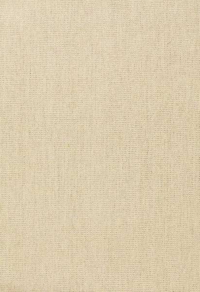 FSchumacher Fabric 64822 Anya Linen Biscuit
