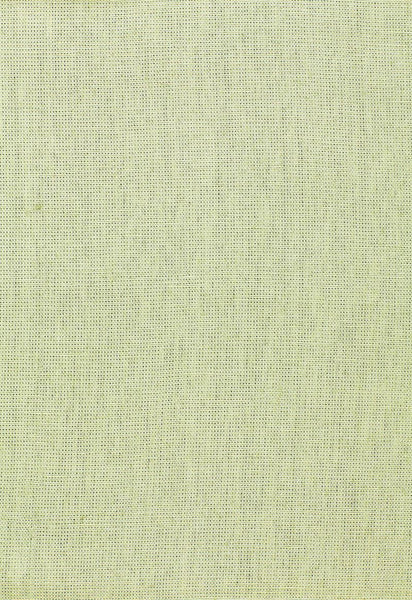 FSchumacher Fabric 64823 Anya Linen Celadon