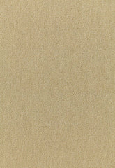 FSchumacher Fabric 64859 San Carlo Mohair Velvet Putty
