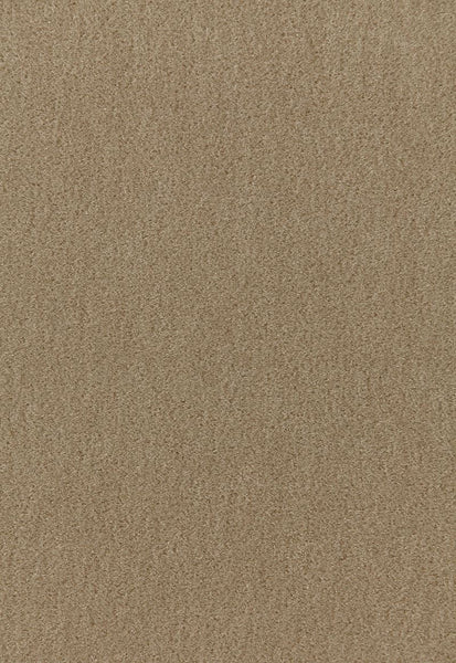FSchumacher Fabric 64887 San Carlo Mohair Velvet Sage